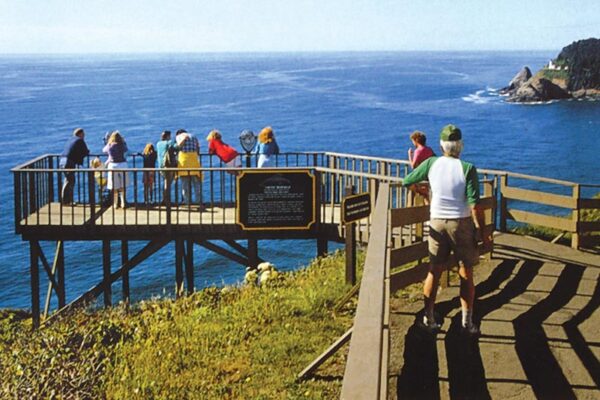 Observation Deck at Sea Lion Caves